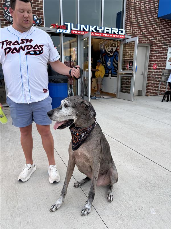 Dog Days at Toyota Field with North Alabama Veterinary Emergency & Specialty
