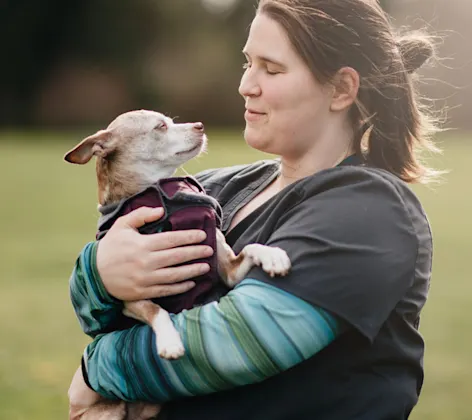 Staff member holding a Chihuahua with a vest on Staff member holding a Chihuahua with a vest on