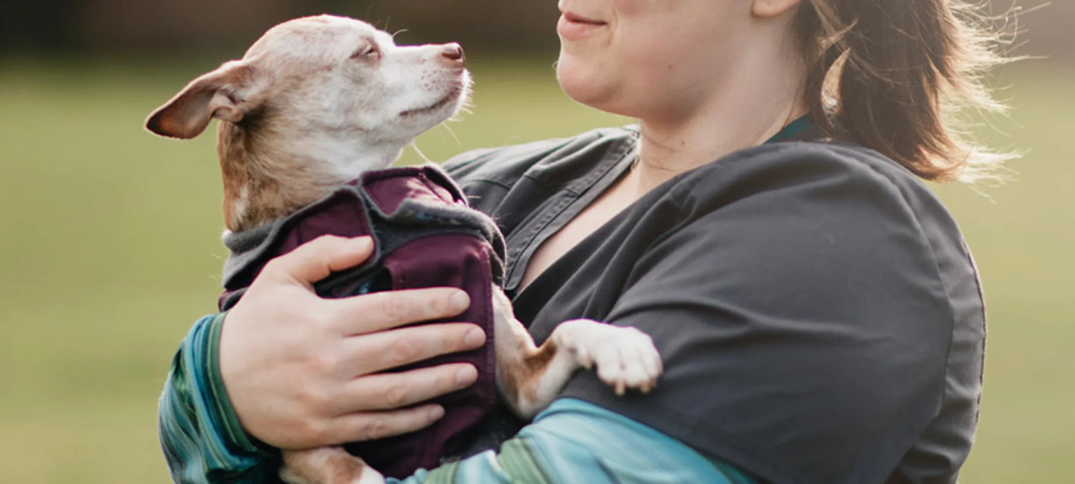 Staff member holding a Chihuahua with a vest on Staff member holding a Chihuahua with a vest on