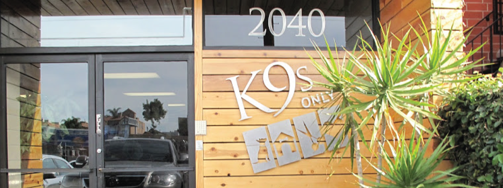Dog Boarding & Dog Daycare in West LA, CA | K9s Only