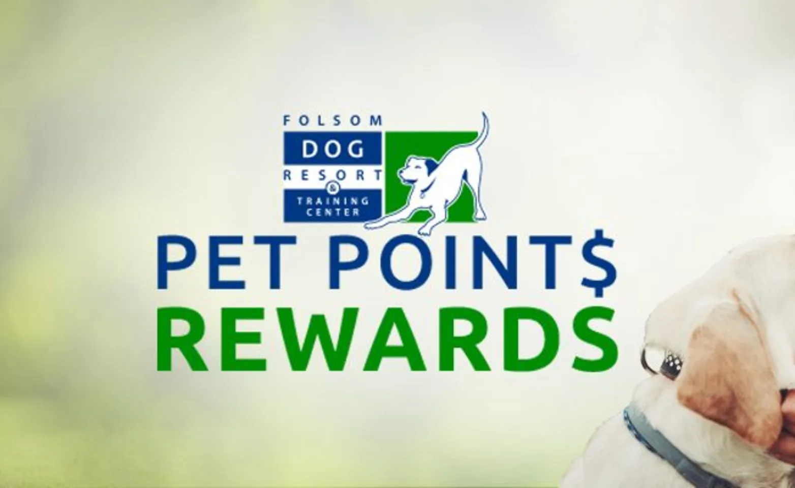 Folsom Dog Resort & Training Center - Loyalty Rewards Folsom Dog Resort & Training Center - Loyalty Rewards