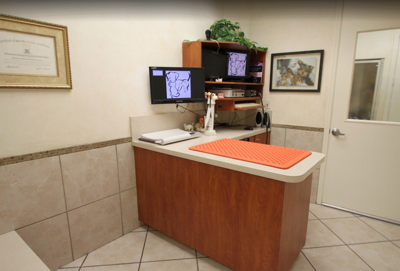 Hometown Animal Hospital - Medical Room 4