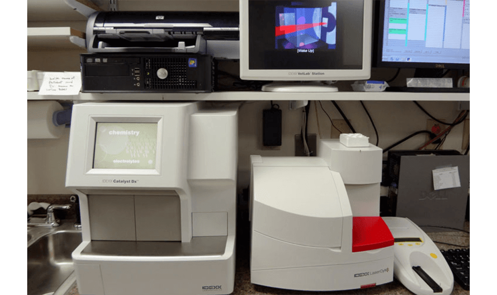 Bogey Hills Animal Hospital Equipment