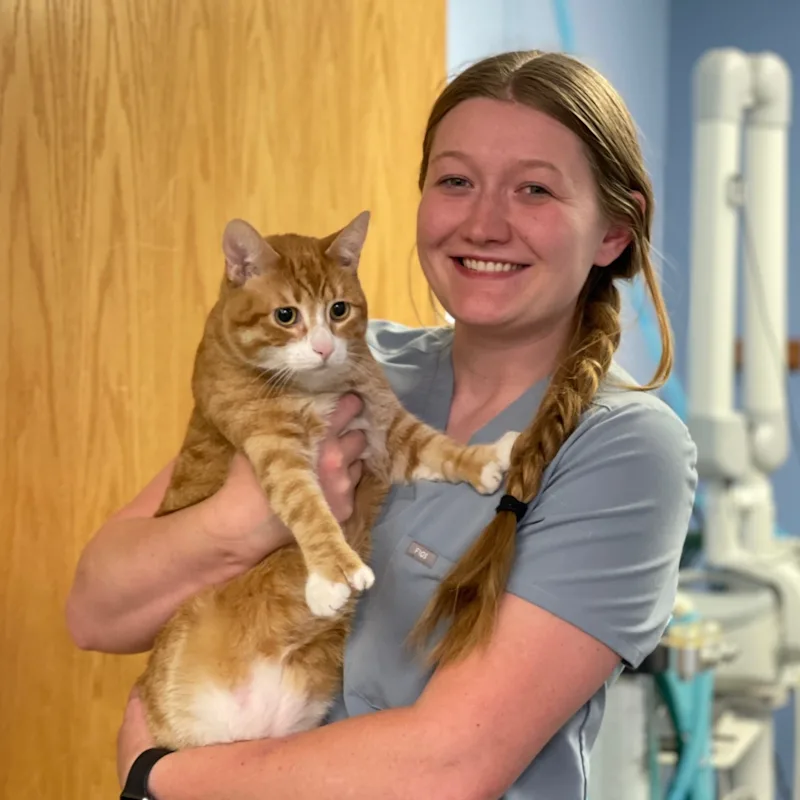 Caitlynn Hanson Caitlynn Hanson