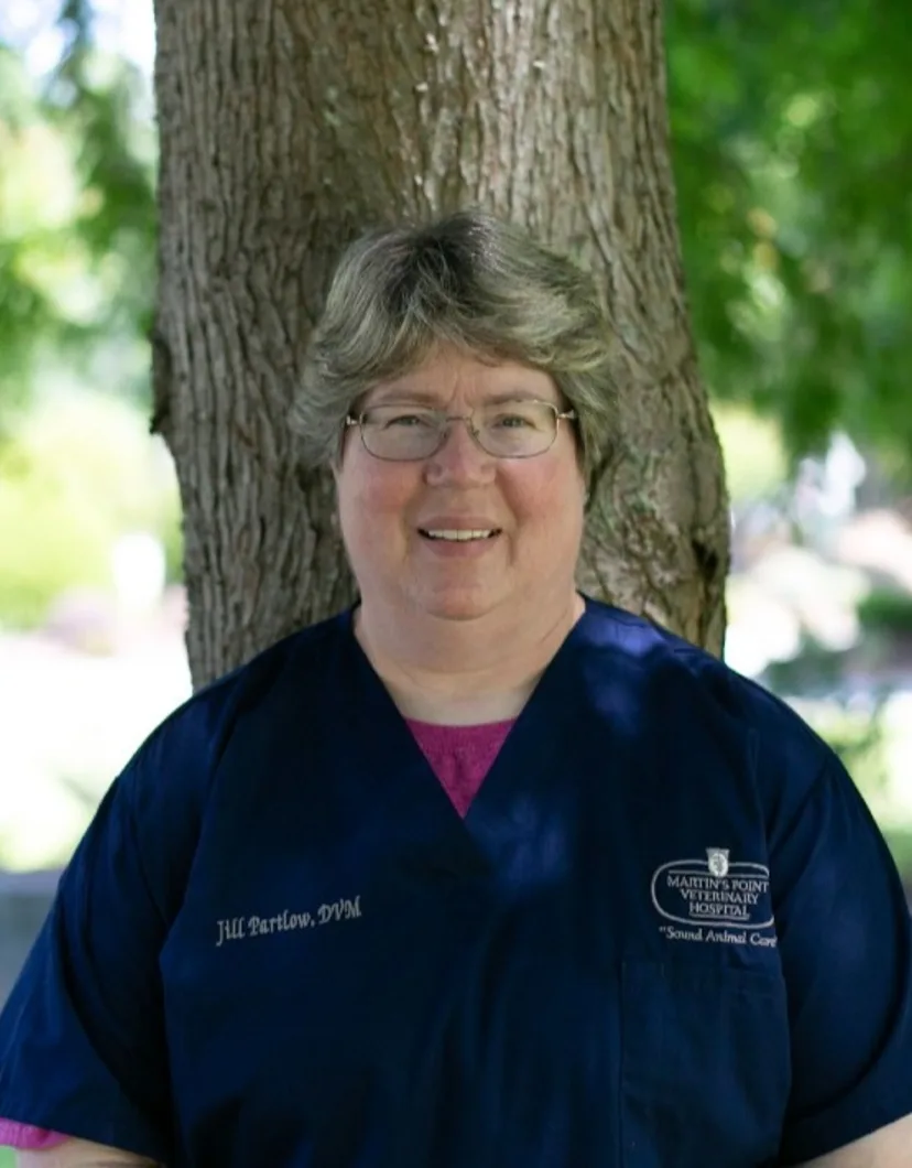 Dr. Jill D. Partlow 