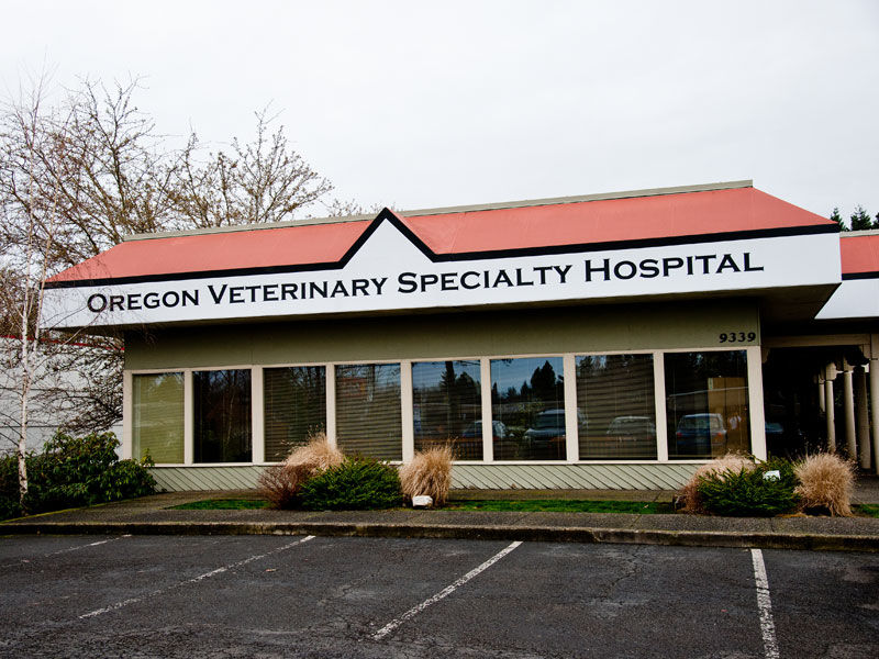 Animal Hospital in Beaverton, OR Oregon Veterinary Specialty Hospital