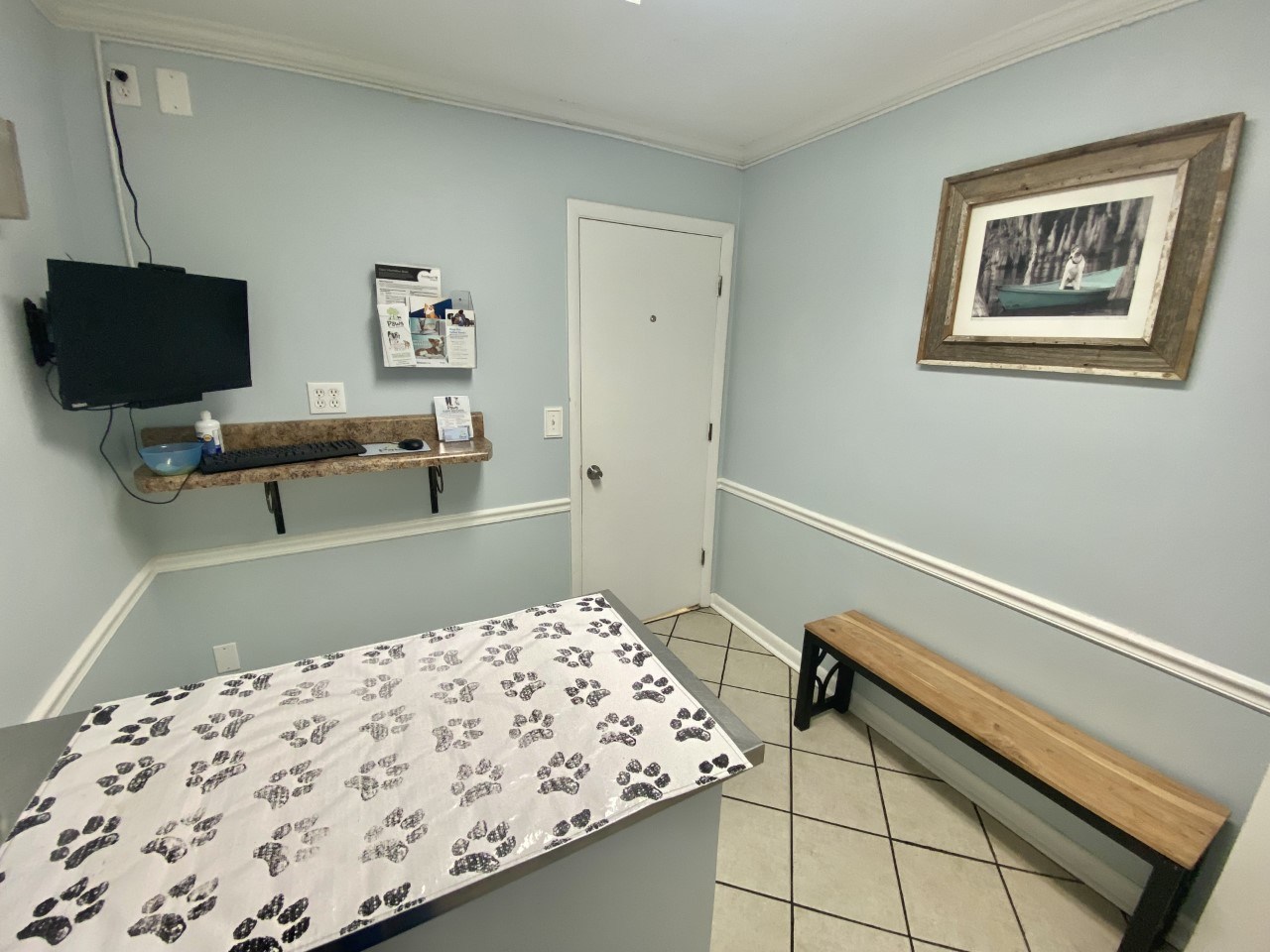 Exam room at Pampered Paws Animal Hospital.