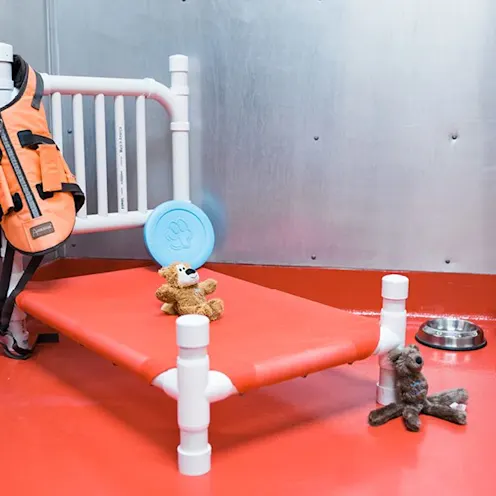 Boarding room with dog bed, toys, food and water. Boarding room with dog bed, toys, food and water.