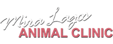 FOOTER - Mira Lagos Animal Clinic 400028