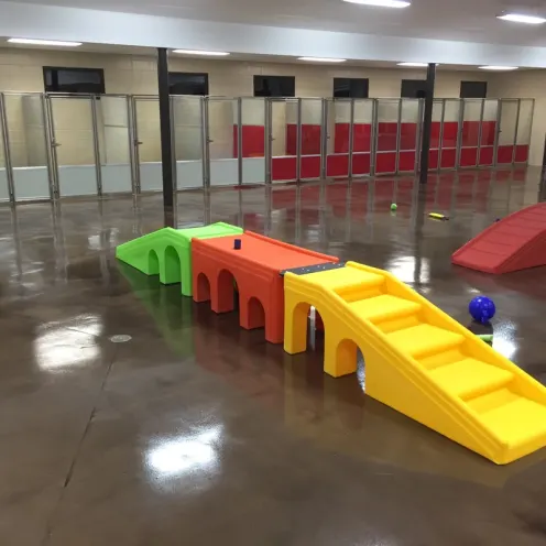 Dog daycare indoor play area