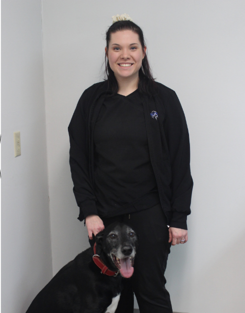 Ashley G. New Haven Pet Hospital holding a white dog