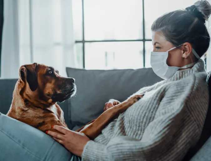 Woman wearing a mask sitting on a couch at home with a brown dog Woman wearing a mask sitting on a couch at home with a brown dog