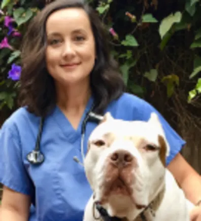 Johanne Lu Johanne Lu