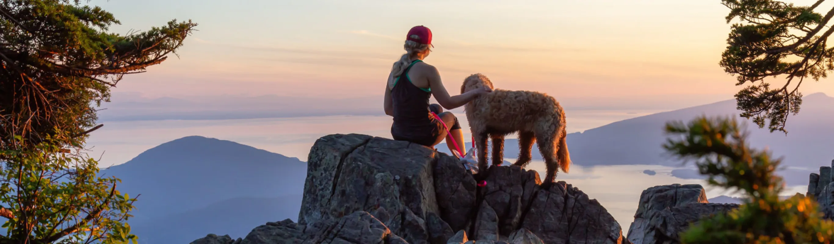 View of the Vancouver area from a high vantage point with a dog and their owner View of the Vancouver area from a high vantage point with a dog and their owner