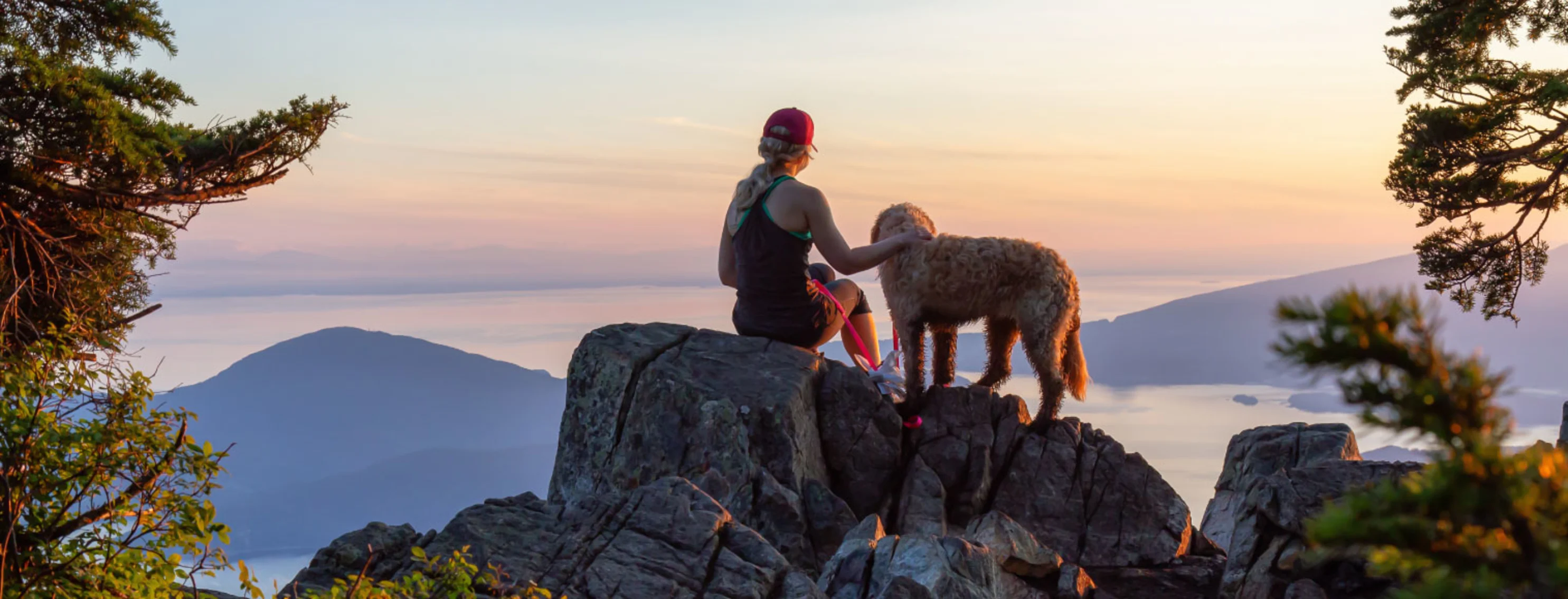 View of the Vancouver area from a high vantage point with a dog and their owner View of the Vancouver area from a high vantage point with a dog and their owner