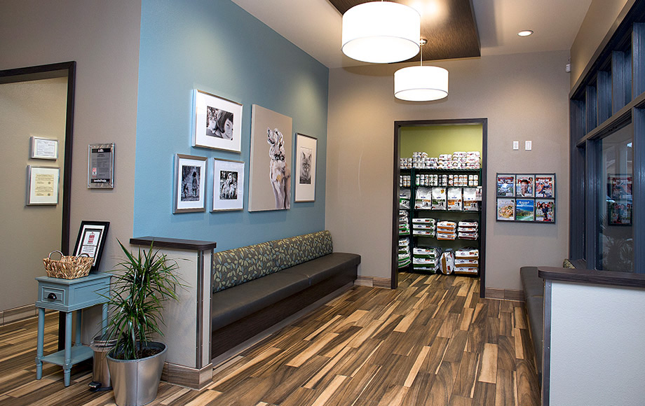 Waiting room with nice furniture and wooden floors at Goldorado Animal Hospital