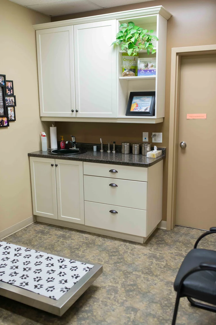 Examination room at Prescott Animal Hospital