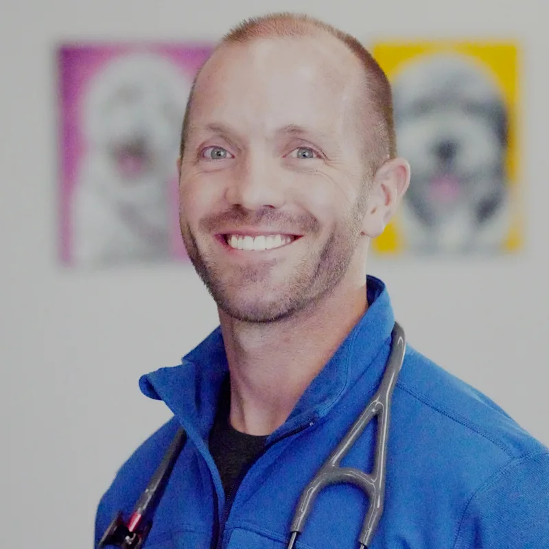 Brandon R Reynolds 24/7 Emergency Care | Colorado Animal Specialty & Emergency (CASE)