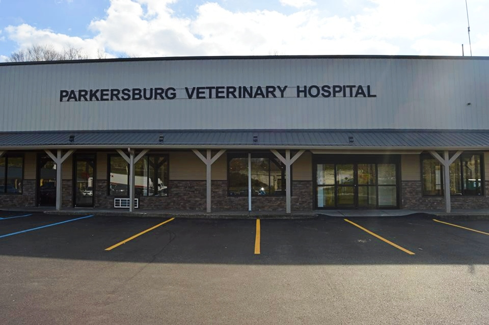 Animal Hospital in Parkersburg WV Parkersburg Veterinary Hospital