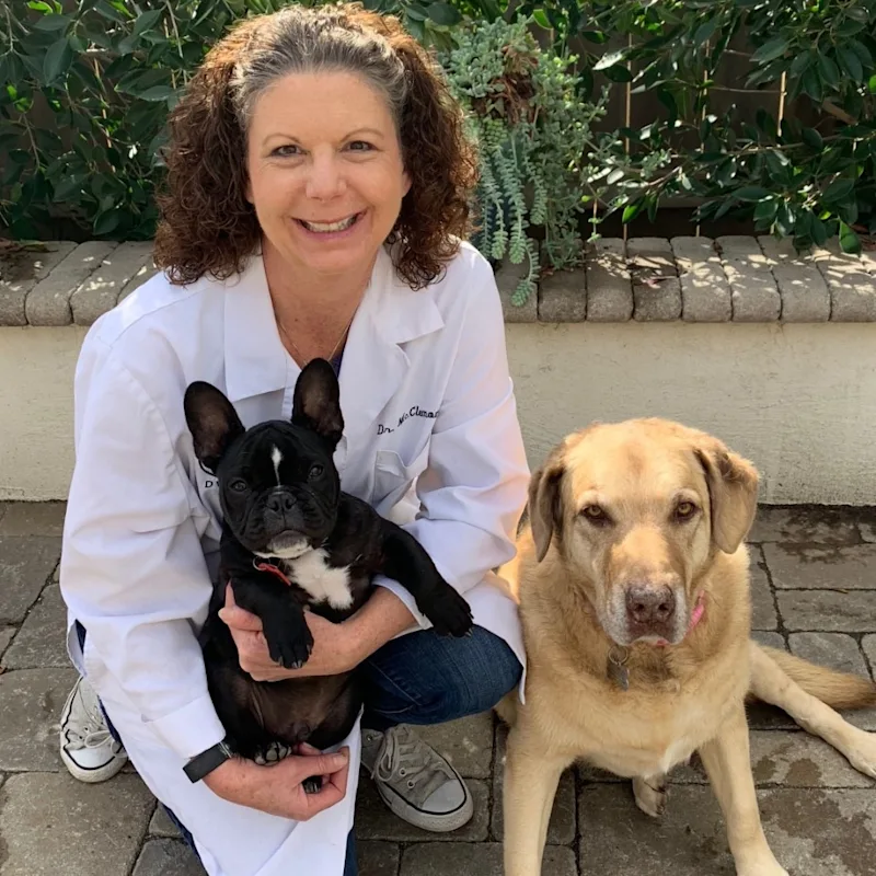 Dr. Georgia McClemons' staff photo from Telegraph Canyon Animal Medical Center Dr. Georgia McClemons' staff photo from Telegraph Canyon Animal Medical Center