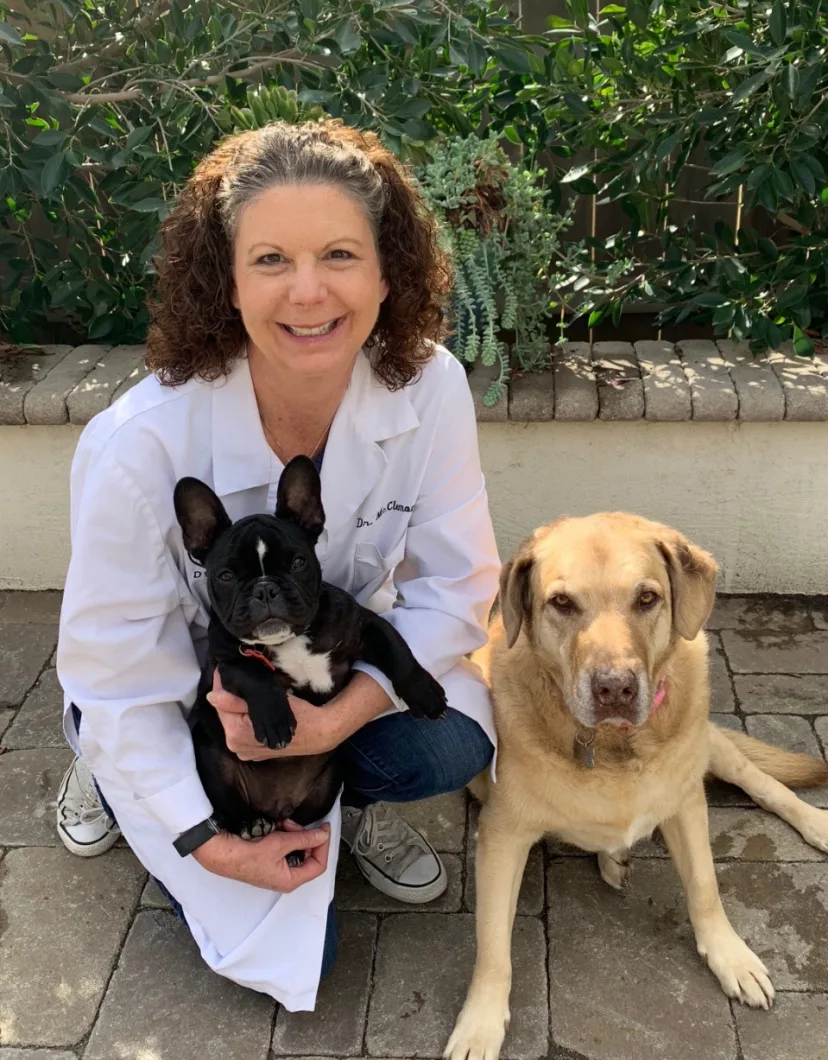 Dr. Georgia McClemons' staff photo from Telegraph Canyon Animal Medical Center
