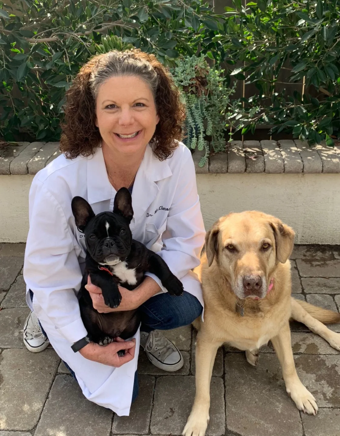 Dr. Georgia McClemons' staff photo from Telegraph Canyon Animal Medical Center Dr. Georgia McClemons' staff photo from Telegraph Canyon Animal Medical Center