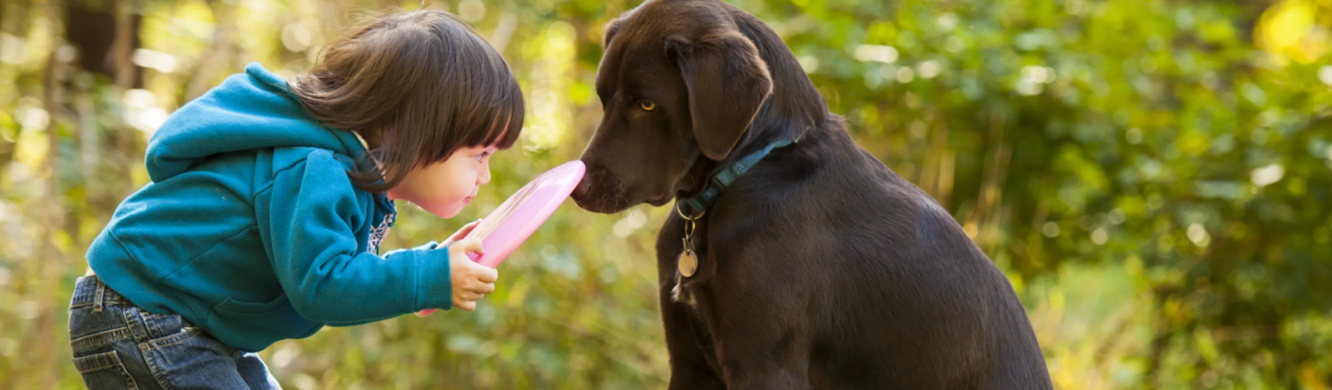 Dog sniffing a frisbee that a child has in it hands