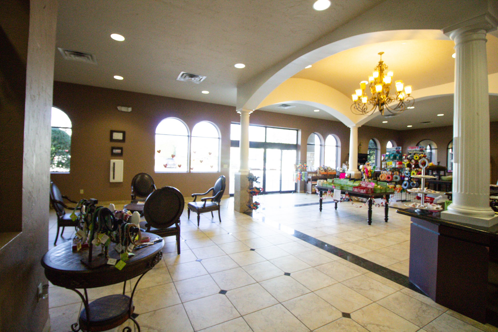Interior of Elite Suites Pet Resort Southlake