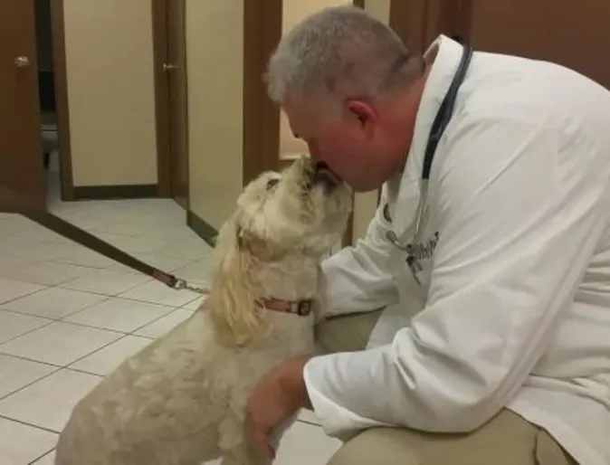 Winnie the small dog receiving kisses from a veterinarian at American Pet Hospital Winnie the small dog receiving kisses from a veterinarian at American Pet Hospital