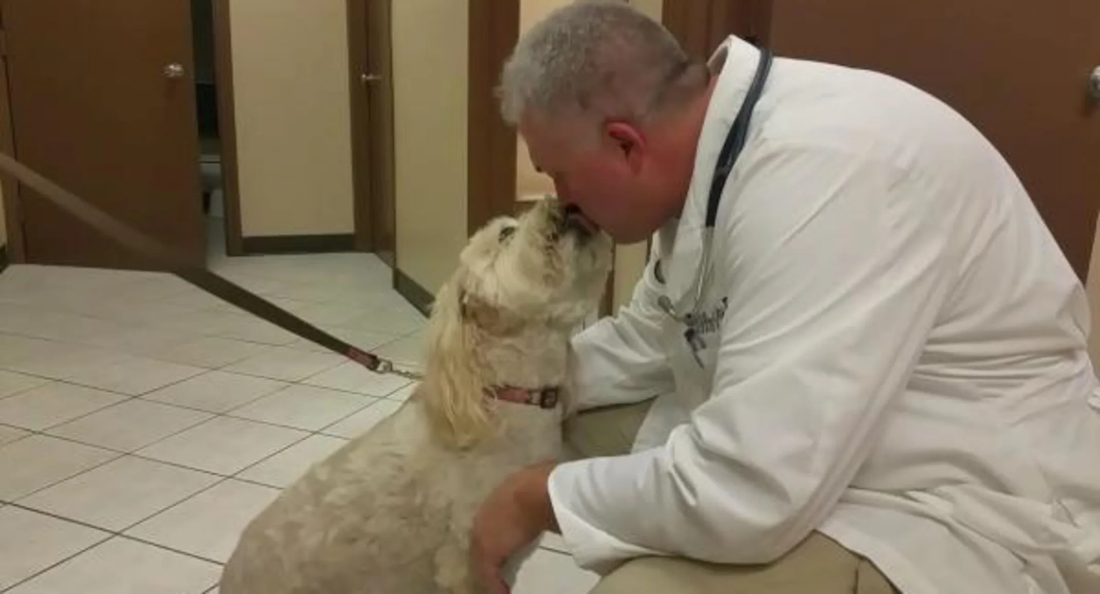 Winnie the small dog receiving kisses from a veterinarian at American Pet Hospital