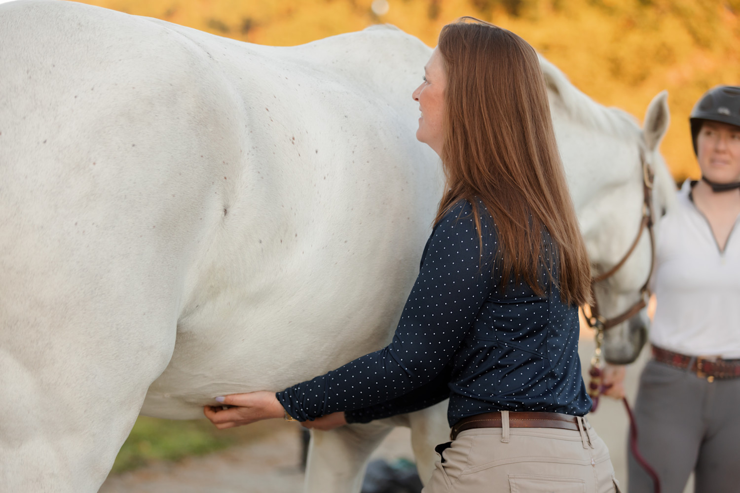 Two Veterinarians Examining a Horse at Bayhill Equine