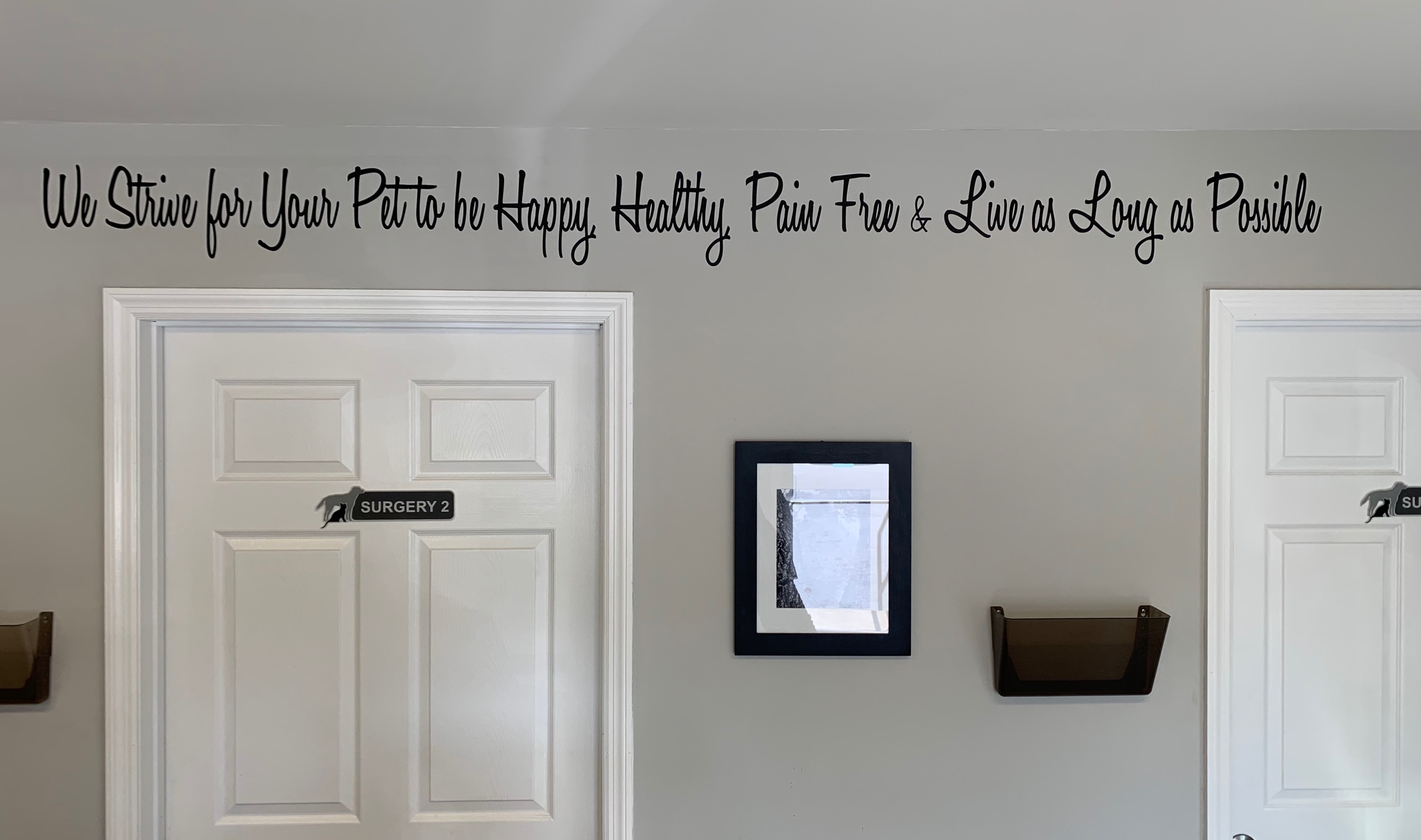 Waterville Veterinary Clinic Mission Statement