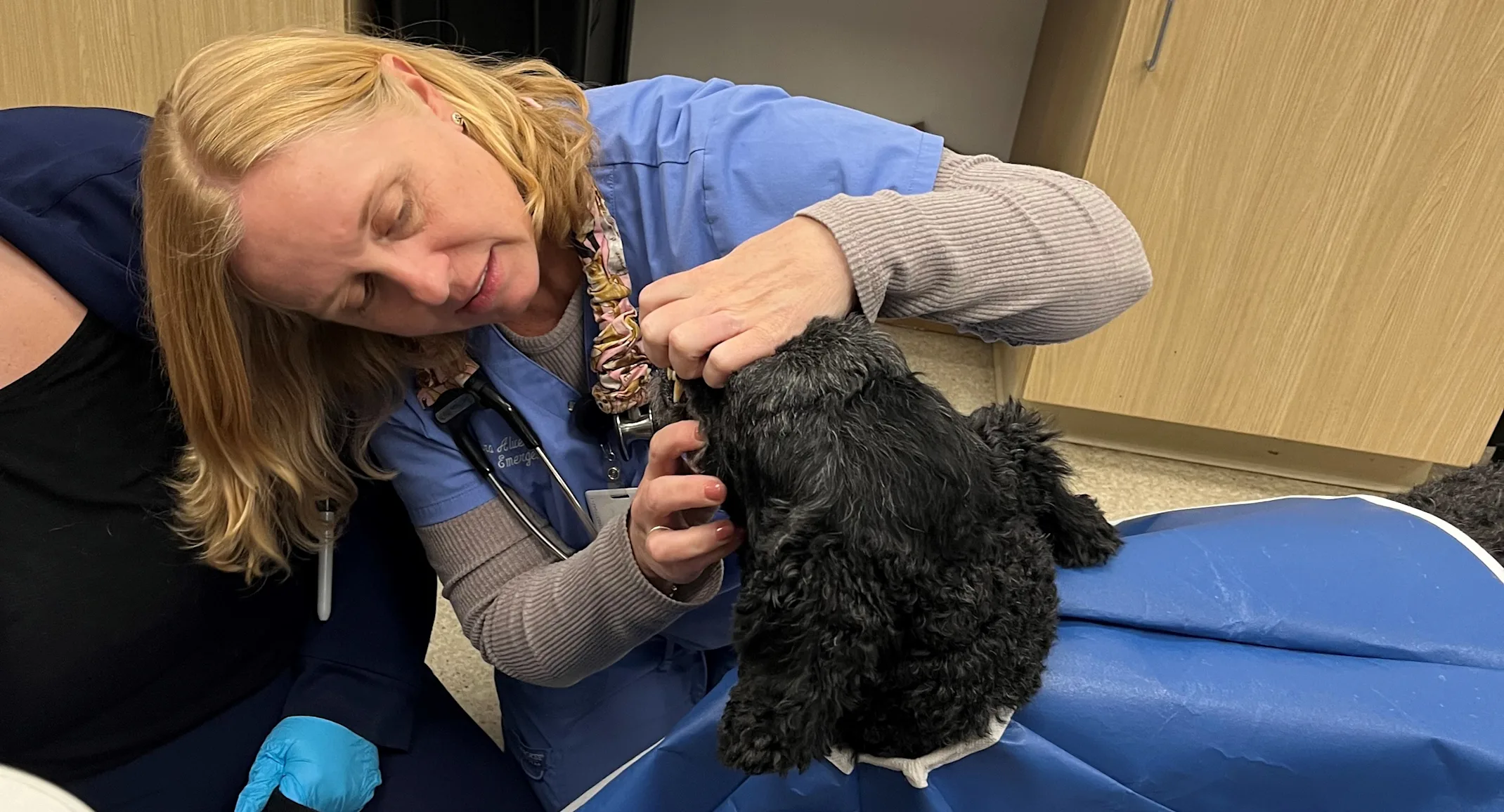 Dr. Alverson checking a patient's mouth Dr. Alverson checking a patient's mouth