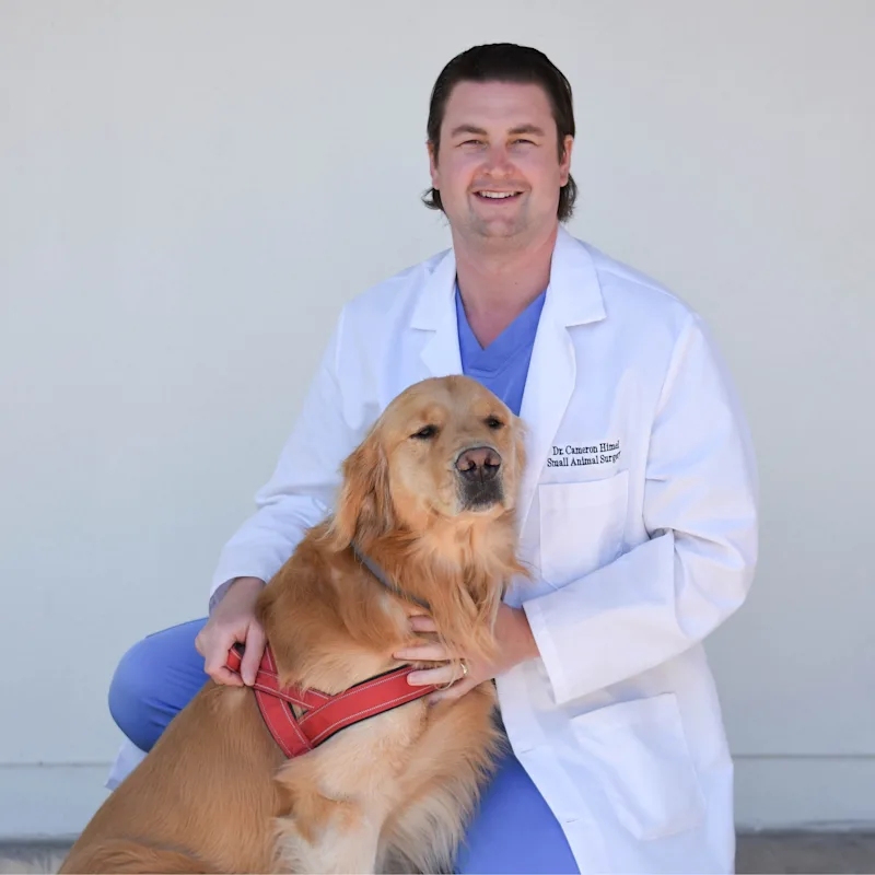 Cameron Himel and a Golden Retriever Cameron Himel and a Golden Retriever