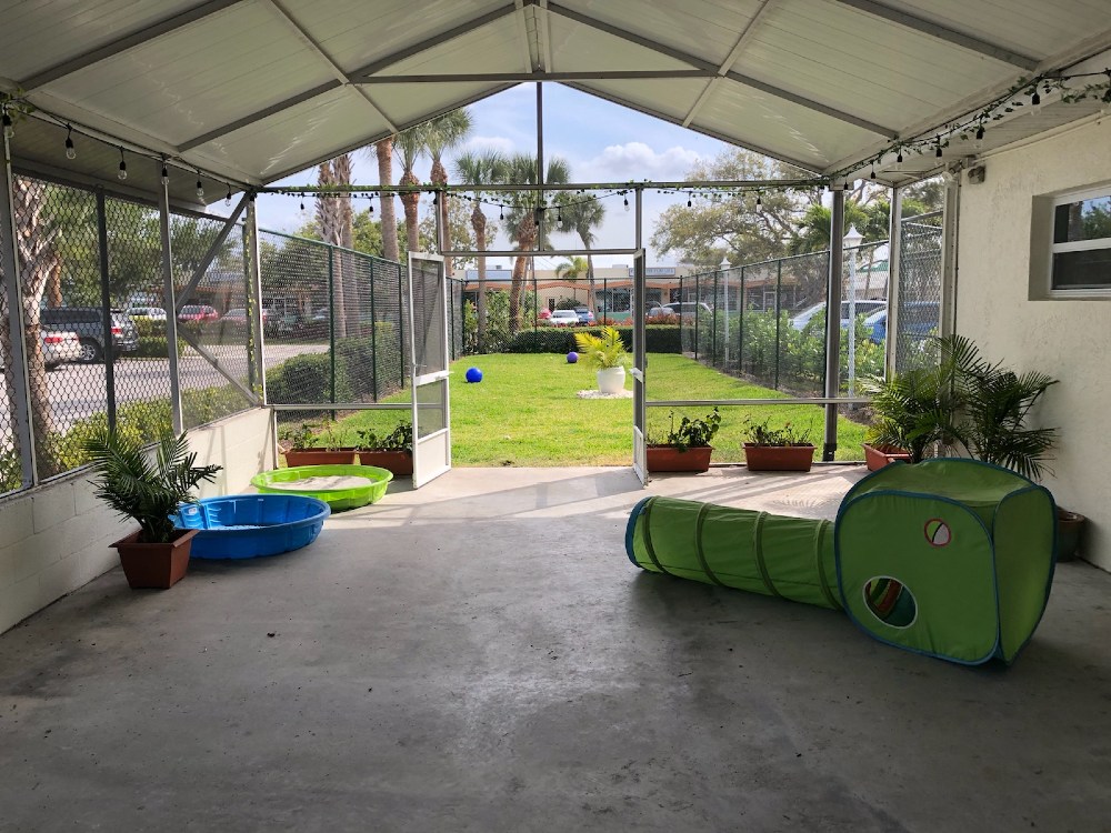 Outside play area with green grass and outdoor covering