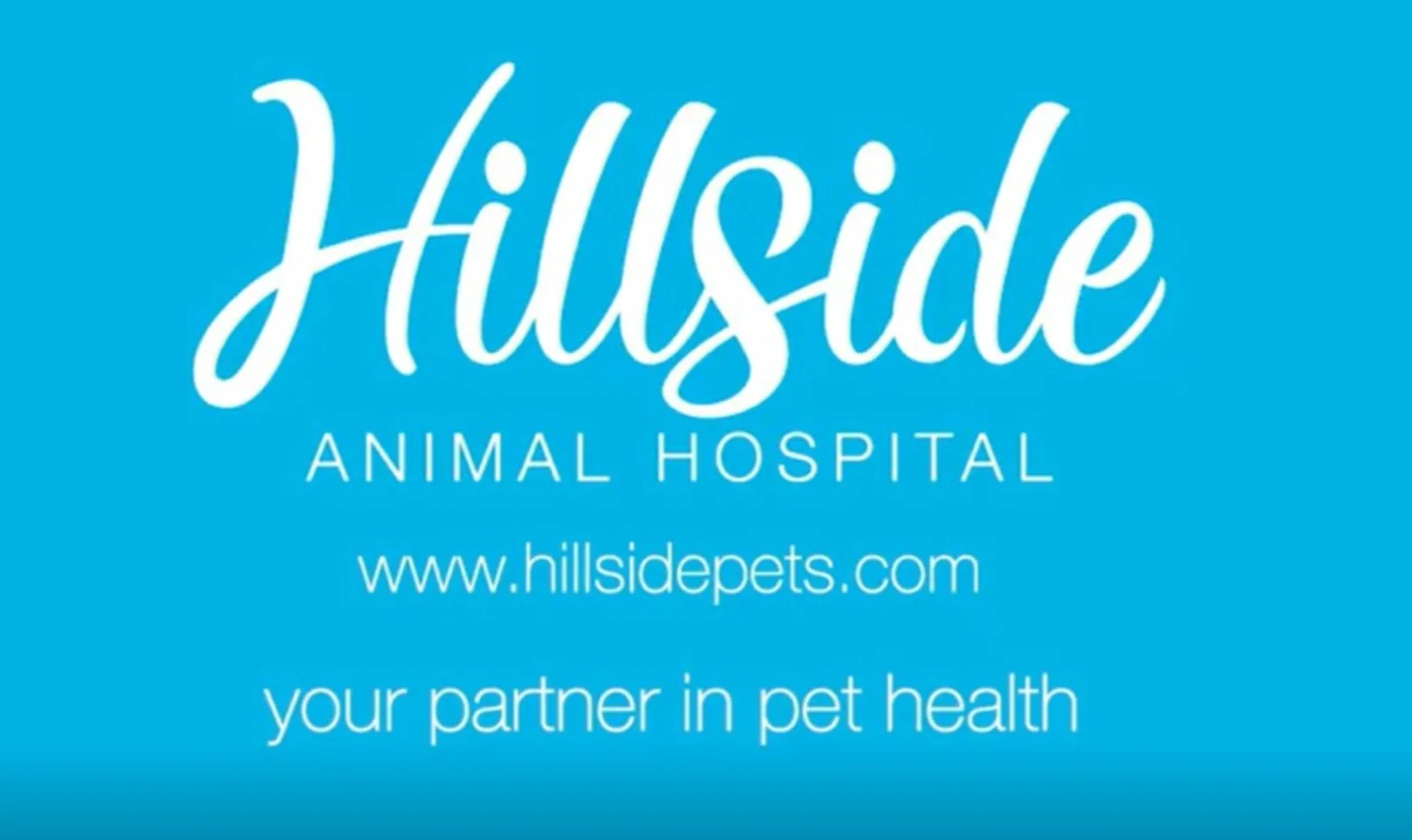 Hillside Animal Hospital