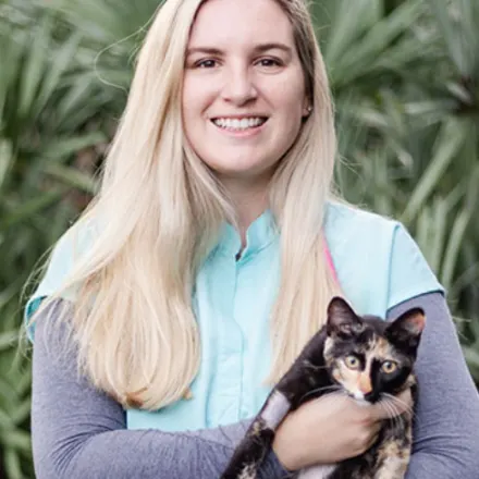 A photo of Dr. Tess Lawhon holding a calico cat named Cersei against a background of palm trees