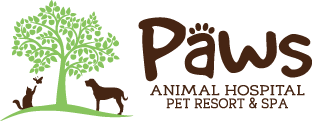 Documents & Forms | Pampered Paws Animal Hospital