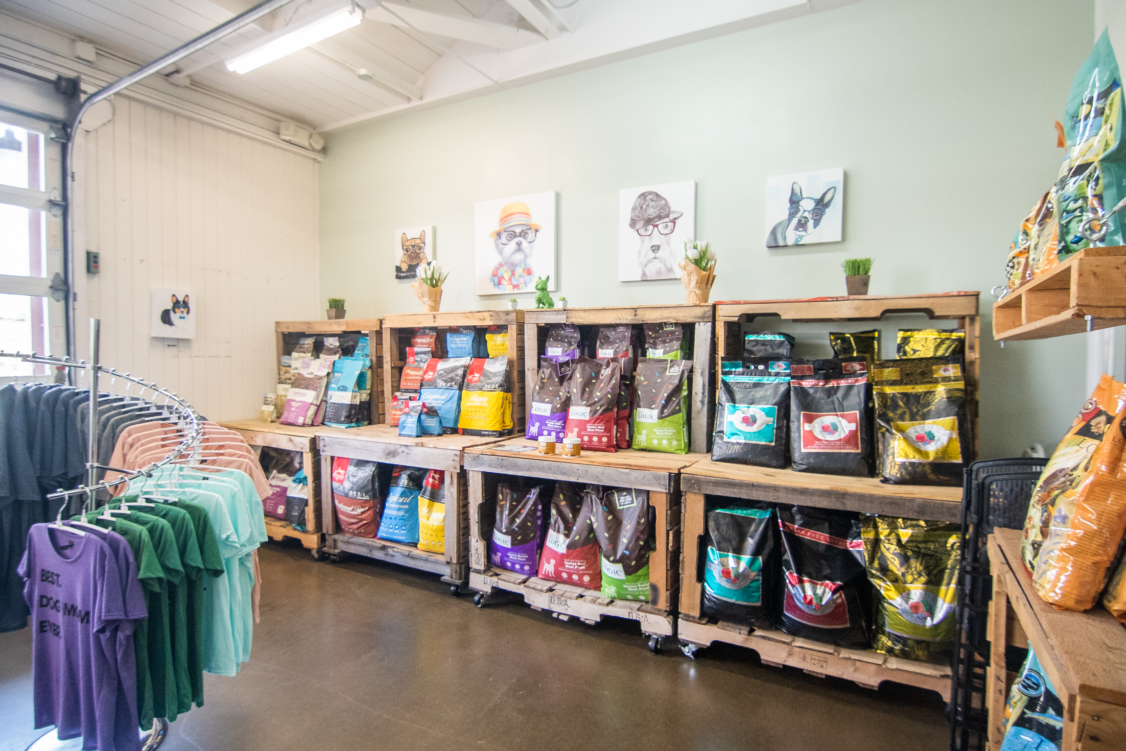 Breed Above Food For Sale