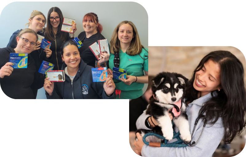 Staff Holding Trio/Nexgard + Dog