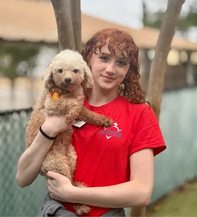 Madison T. Madison T.