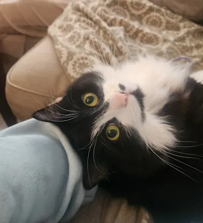 Alex Fenerty Alex Fenerty