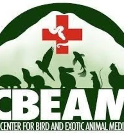 Micheal Kostelecky Micheal Kostelecky