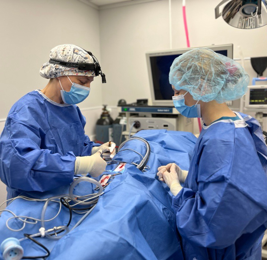 Dr. Nancy and Dr. Chesney performing a Laparoscopic Spay 