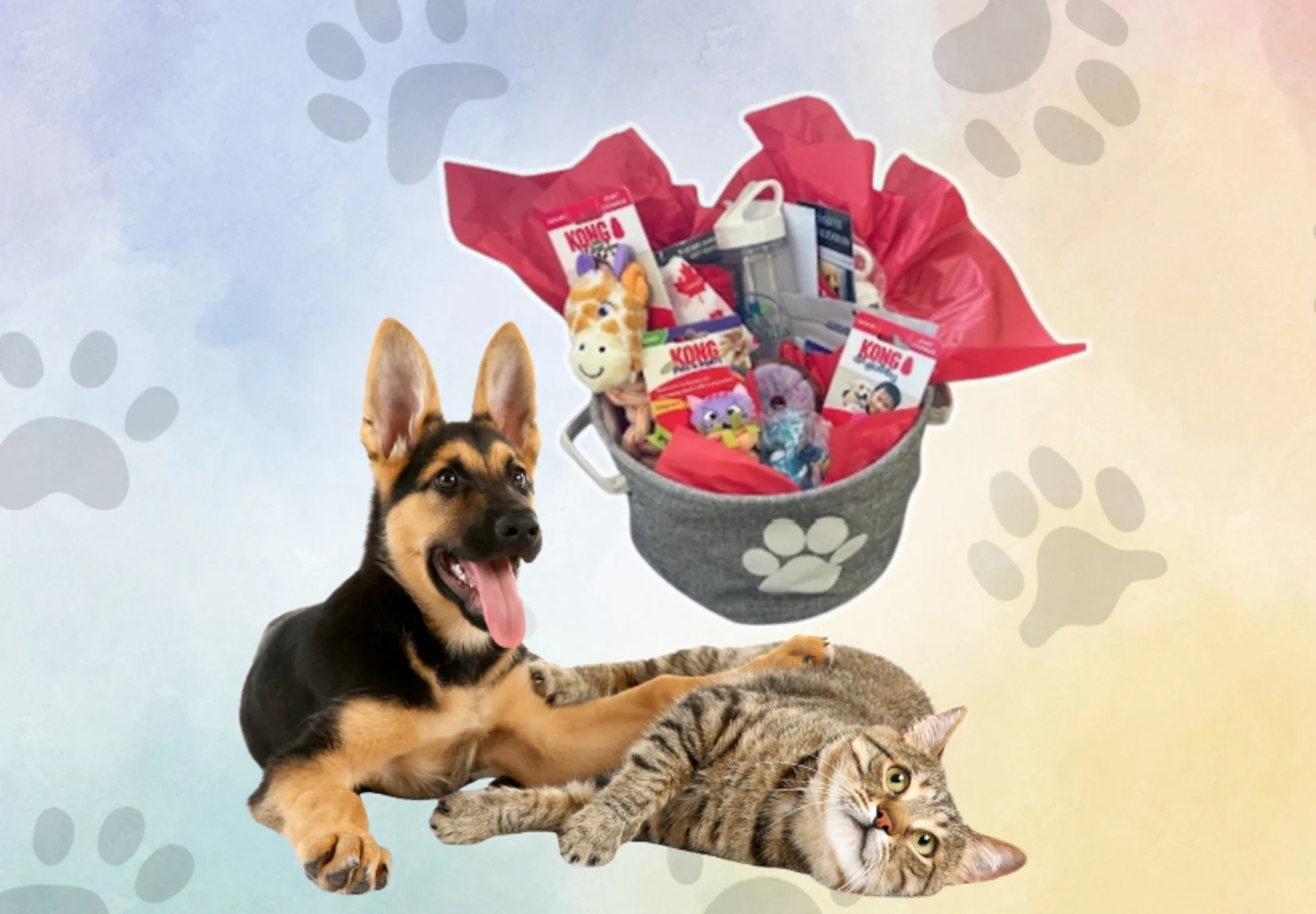 Gift Basket Drawing Promo for Thicketwood Veterinary Hospital Gift Basket Drawing Promo for Thicketwood Veterinary Hospital