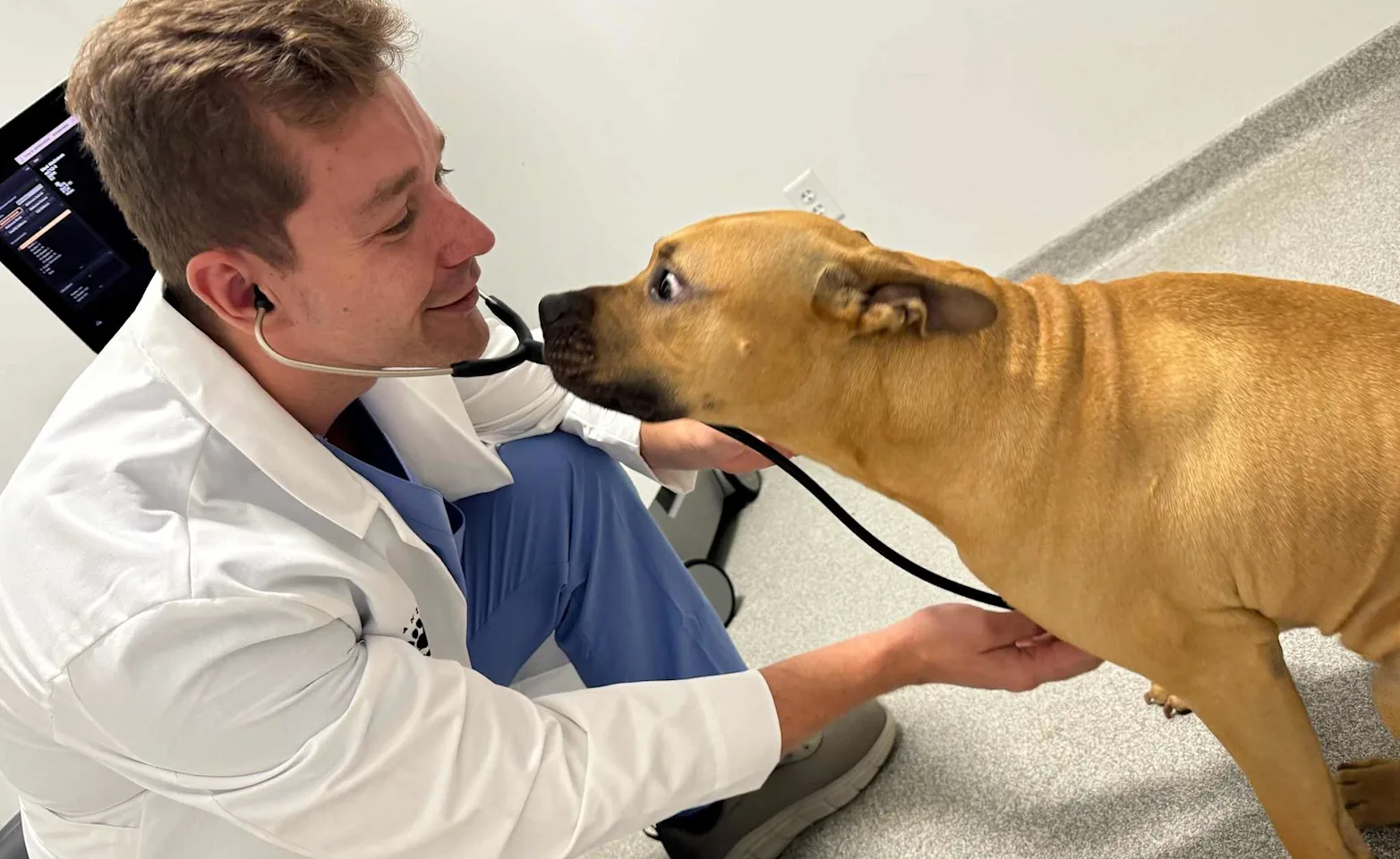 Dr. Andrzej Ogrodny examining patient Dr. Andrzej Ogrodny examining patient