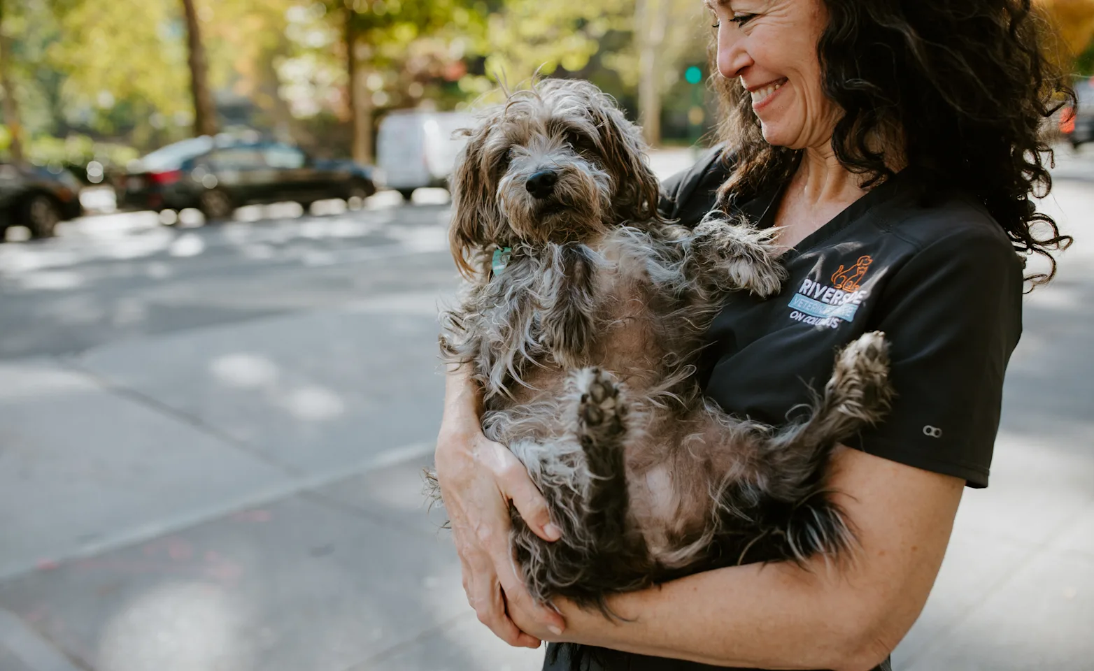 A veterinary technician holding a fluffy brown dog A veterinary technician holding a fluffy brown dog