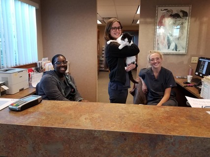 Front desk and receptionists at Small Animal Hospital