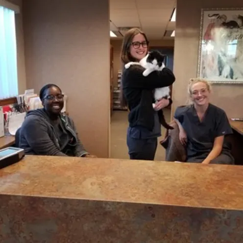 Front desk and receptionists at Small Animal Hospital