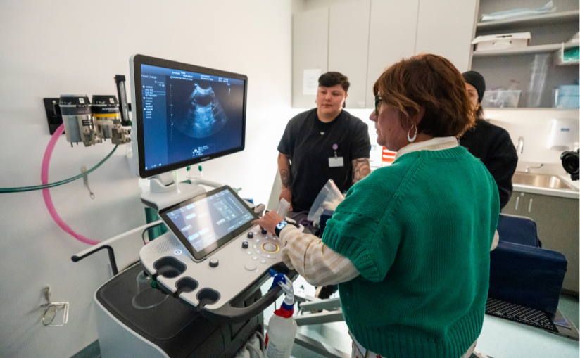 Three staff members looking at an ultrasound photo